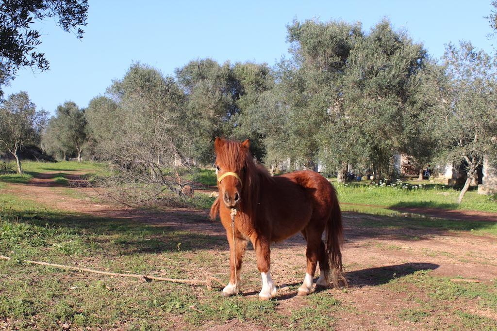 Agriturismo Tenuta Sant'Antonio Cerfignano Bagian luar foto